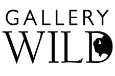Photo of Gallery Wild Photo of Gallery Wild